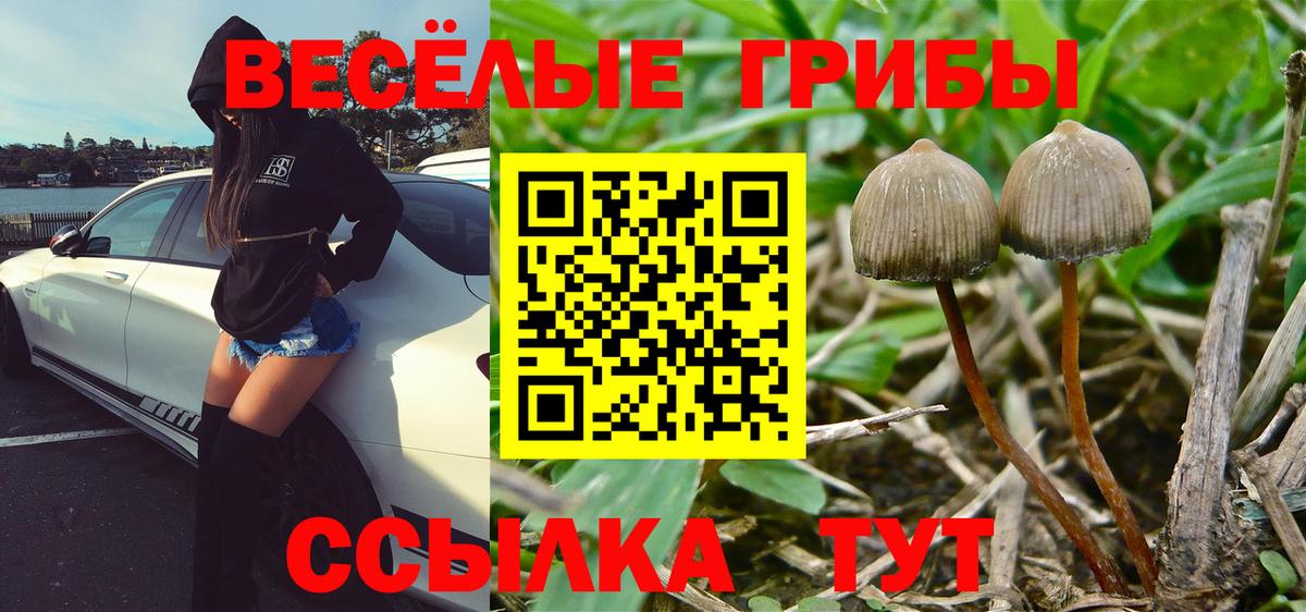 Псилоцибиновые грибы Magic Shrooms Гагарин