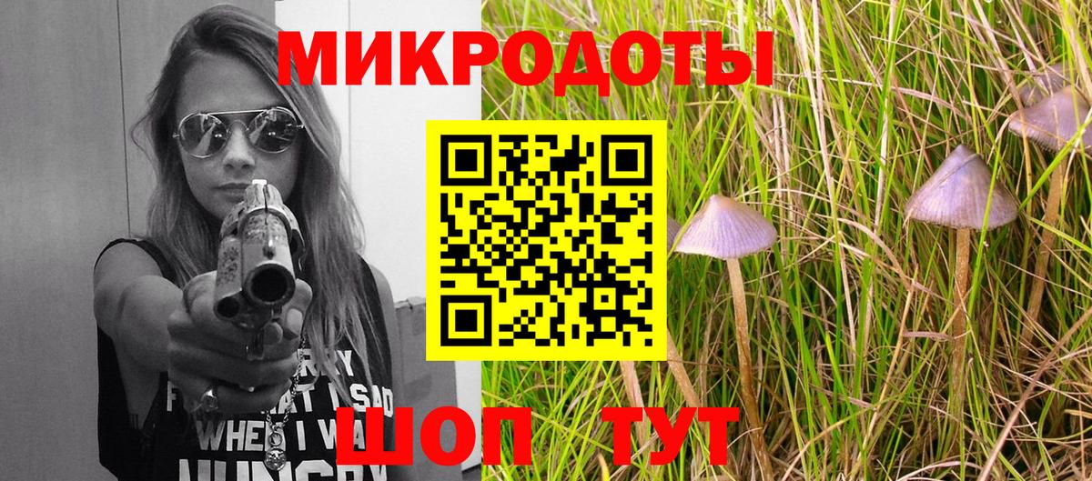 Гагарин  Галлюциногенные грибы прущие грибы  Псилоцибиновые грибы Psilocybe  Вход с VPN 